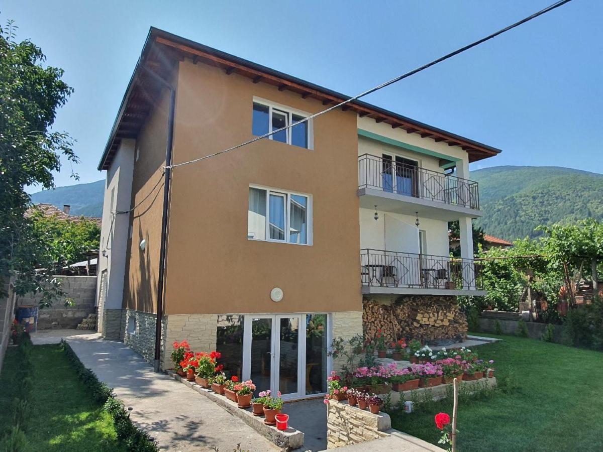Дамяновата Къща Villa Sapareva Banya Exterior photo